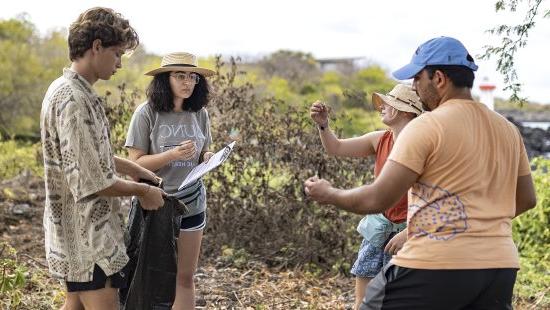 A group of four students outside on an island having a discussion.